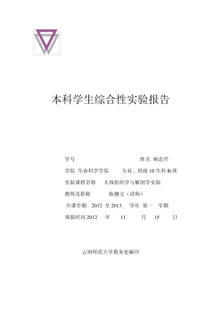 人体解剖学实验报告