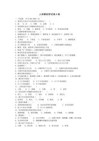 人体解剖学试卷及答案