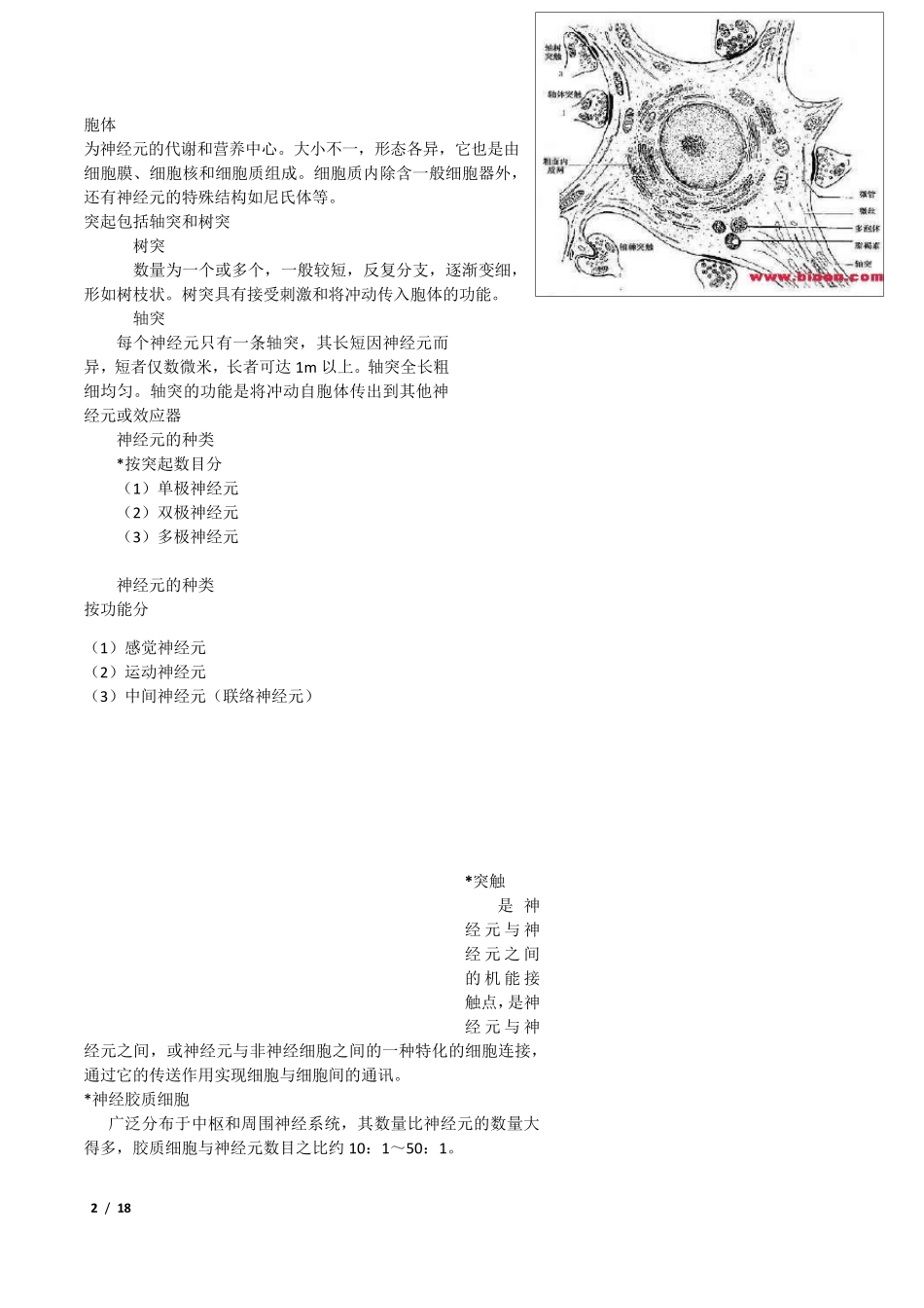 人体解剖生理学复习资料(A卷)_第2页