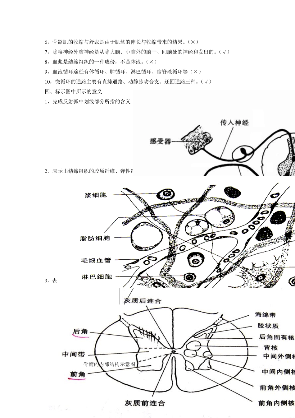 人体解剖生理学试题08级含答案_第3页