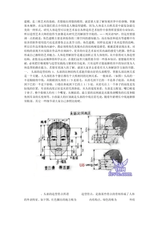 人体造型解剖学基础