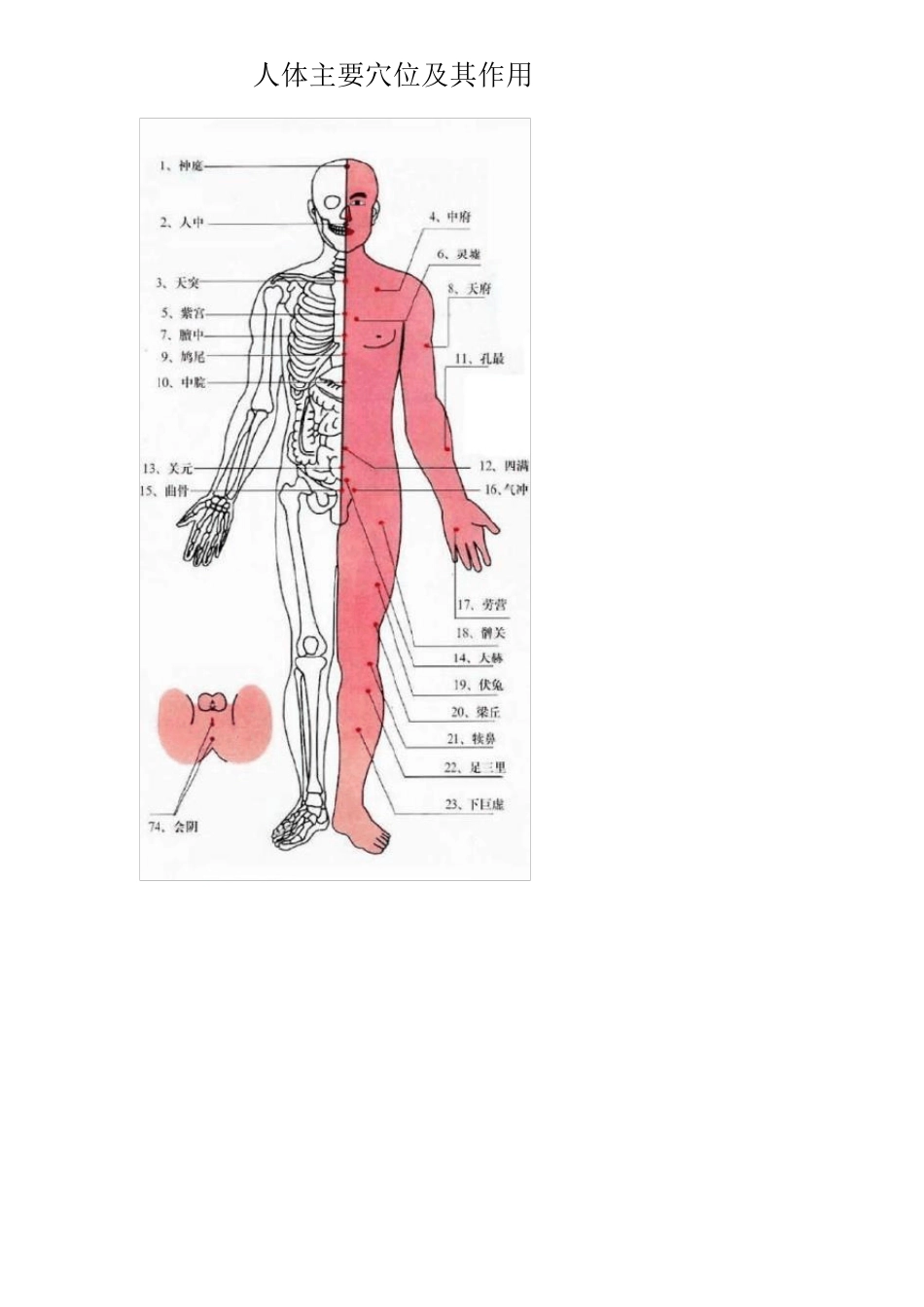 人体重要穴位图及其作用_第1页