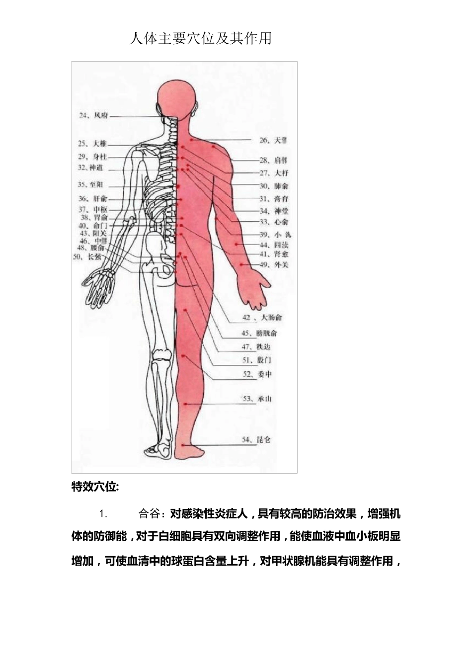 人体重要穴位图及其作用_第2页
