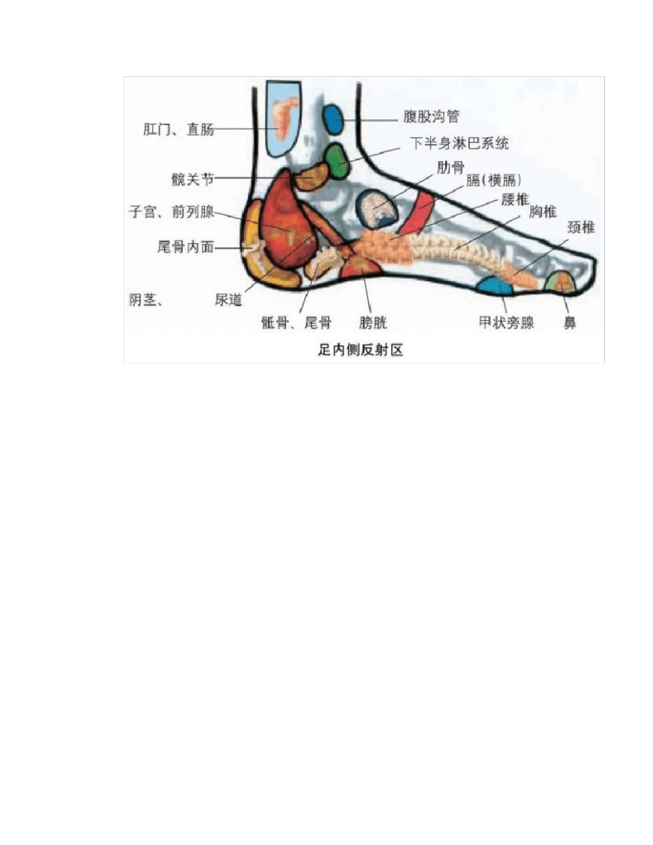 人体部位全息图和反射图_第3页