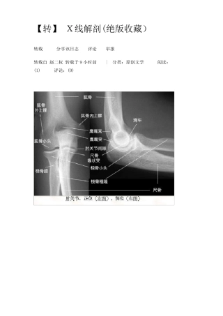 人体骨骼X线解剖