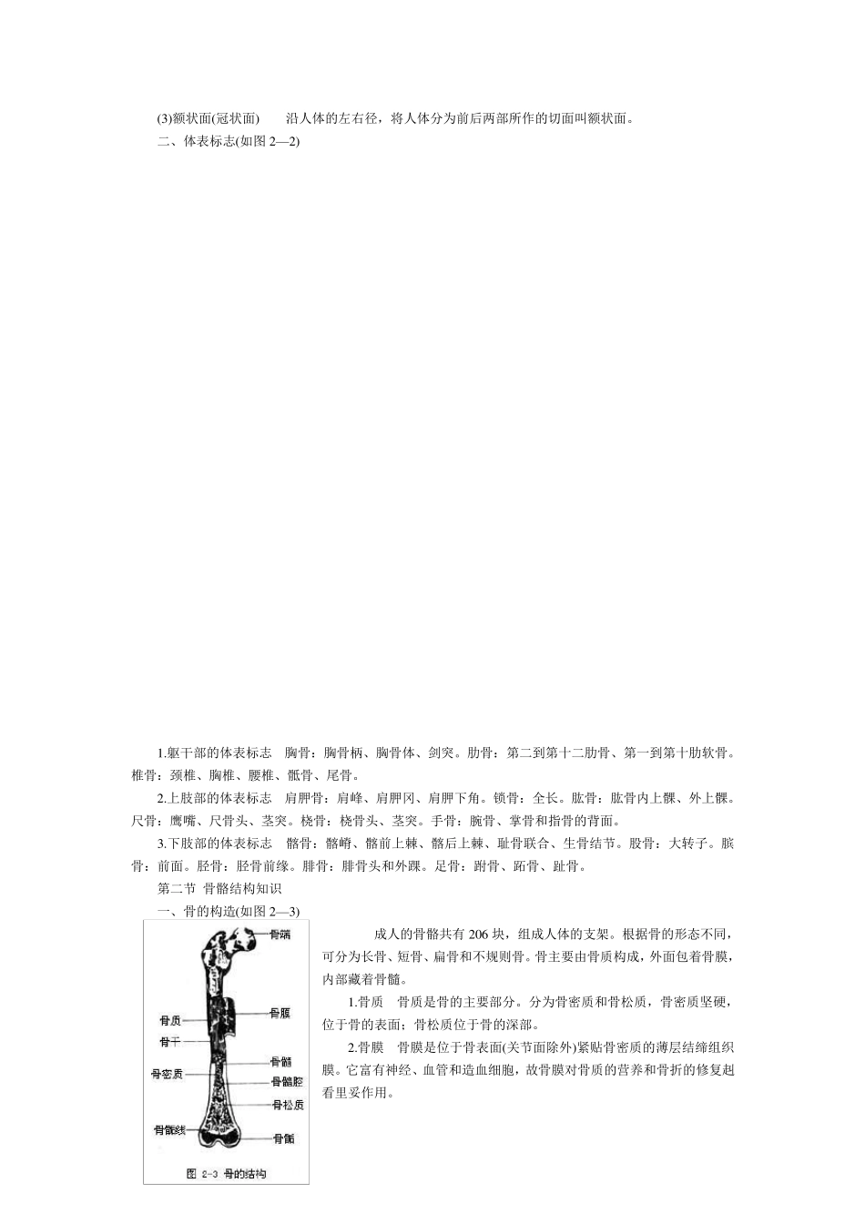 人体骨骼解剖_第2页
