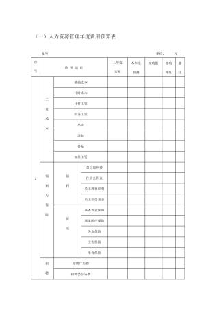 人力资源年度费用预算表