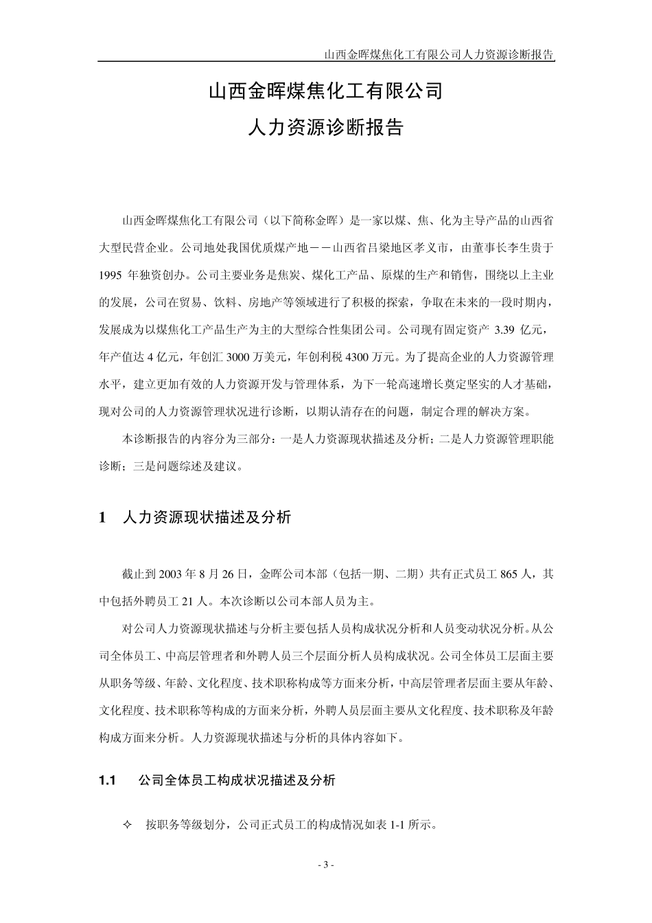 人力资源诊断报告_第3页