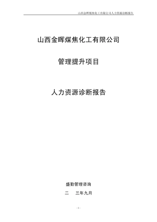 人力资源诊断报告
