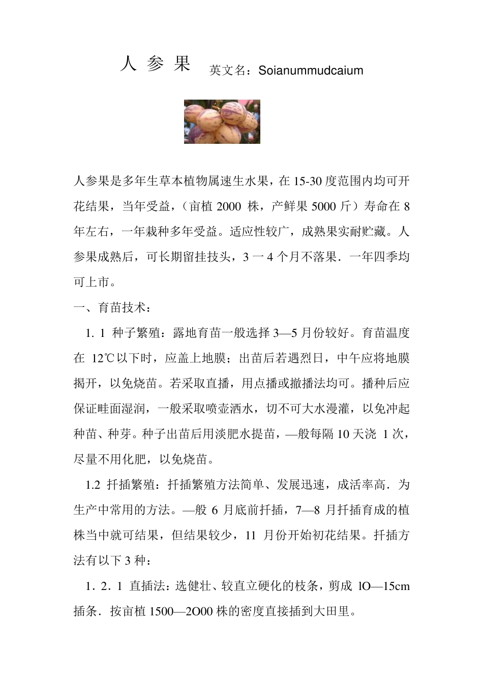 人参果英文名Soianummudcaium_第1页