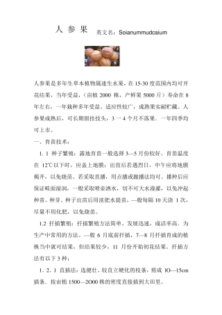 人参果英文名Soianummudcaium