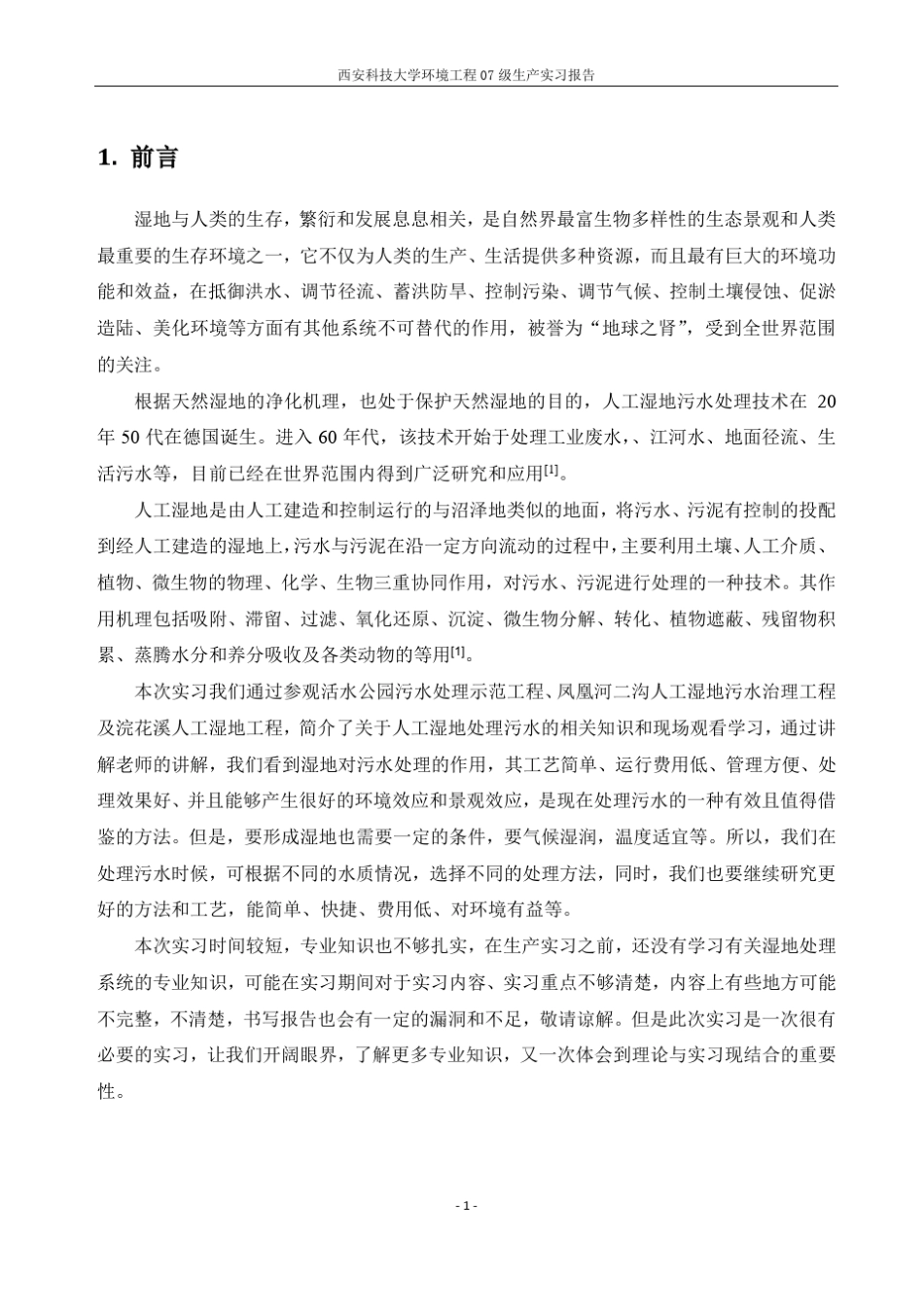 人工湿地报告_第1页