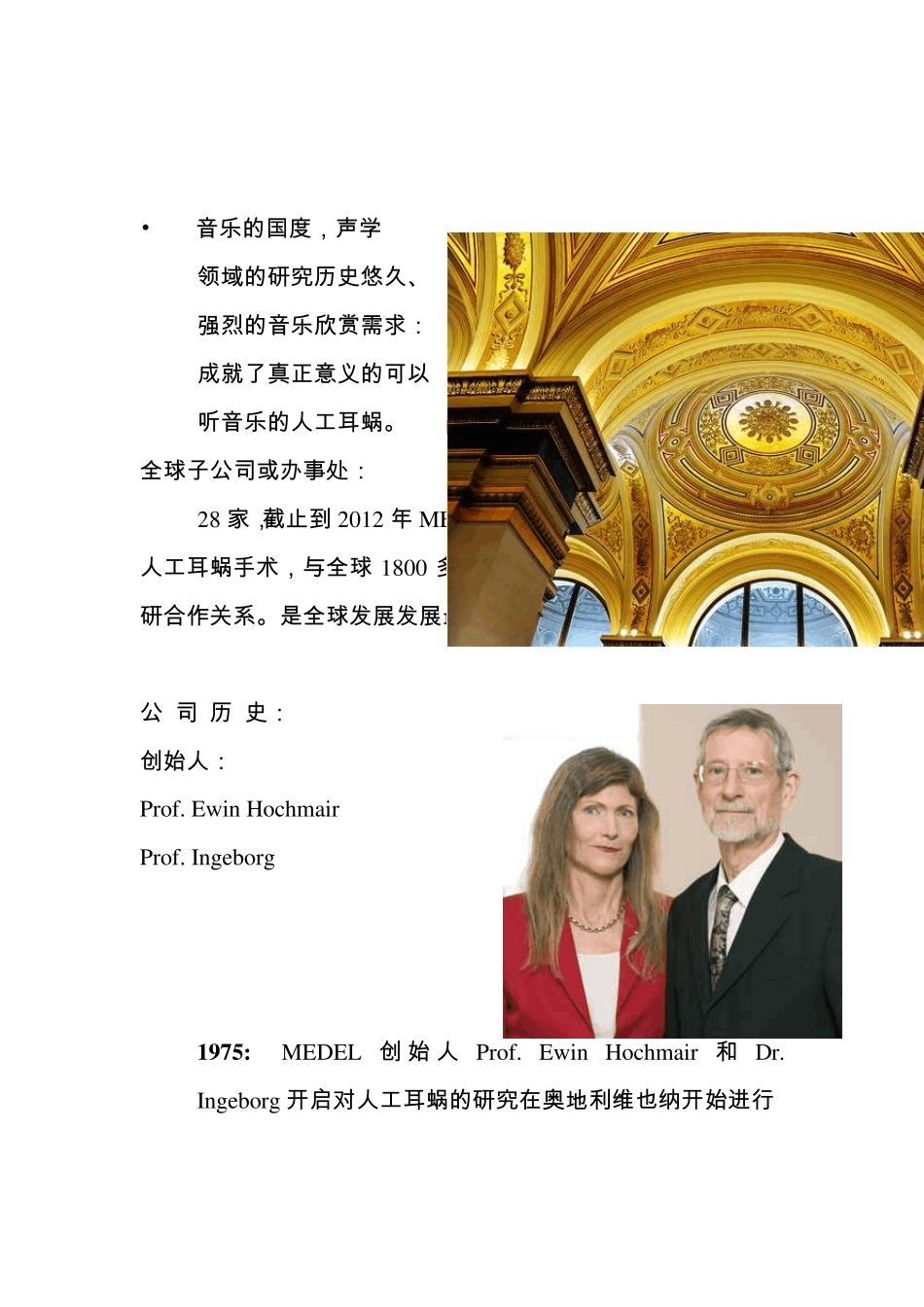 人工耳蜗奥地利_第2页