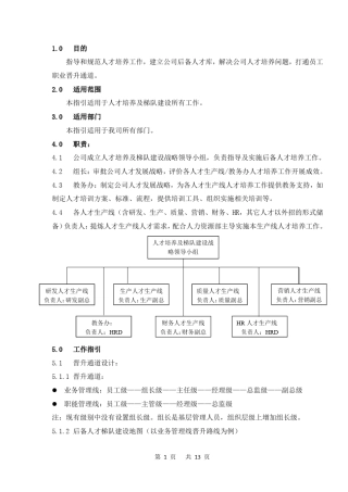 人才培养及梯队建设操作指引