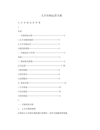 人才市场运营方案