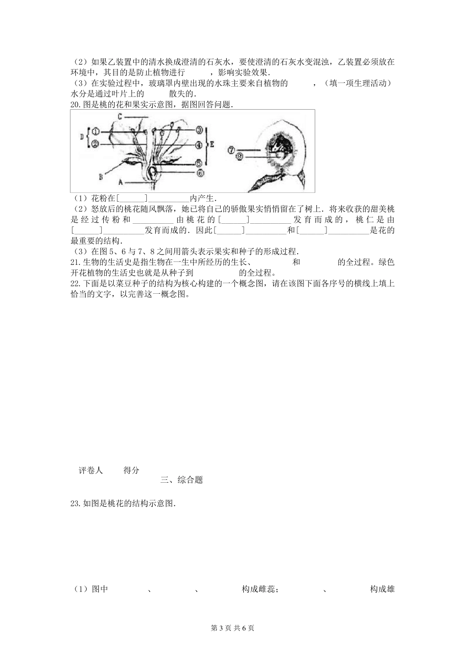 人教版七年级上册生物第三单元测试题_第3页
