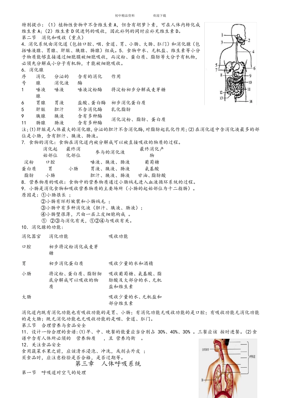 人教版七年级下册生物复习资料_第2页