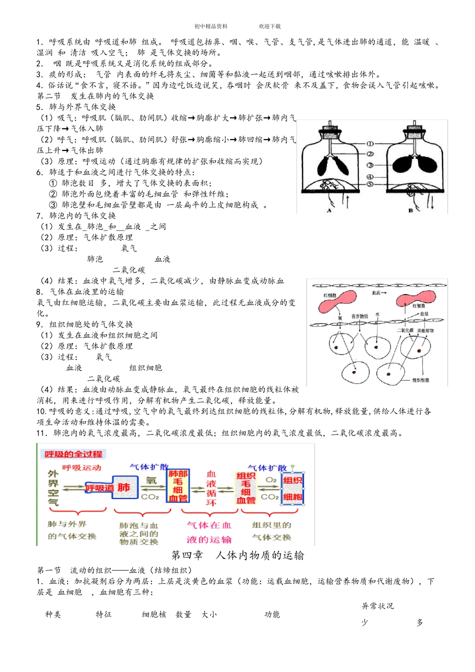 人教版七年级下册生物复习资料_第3页