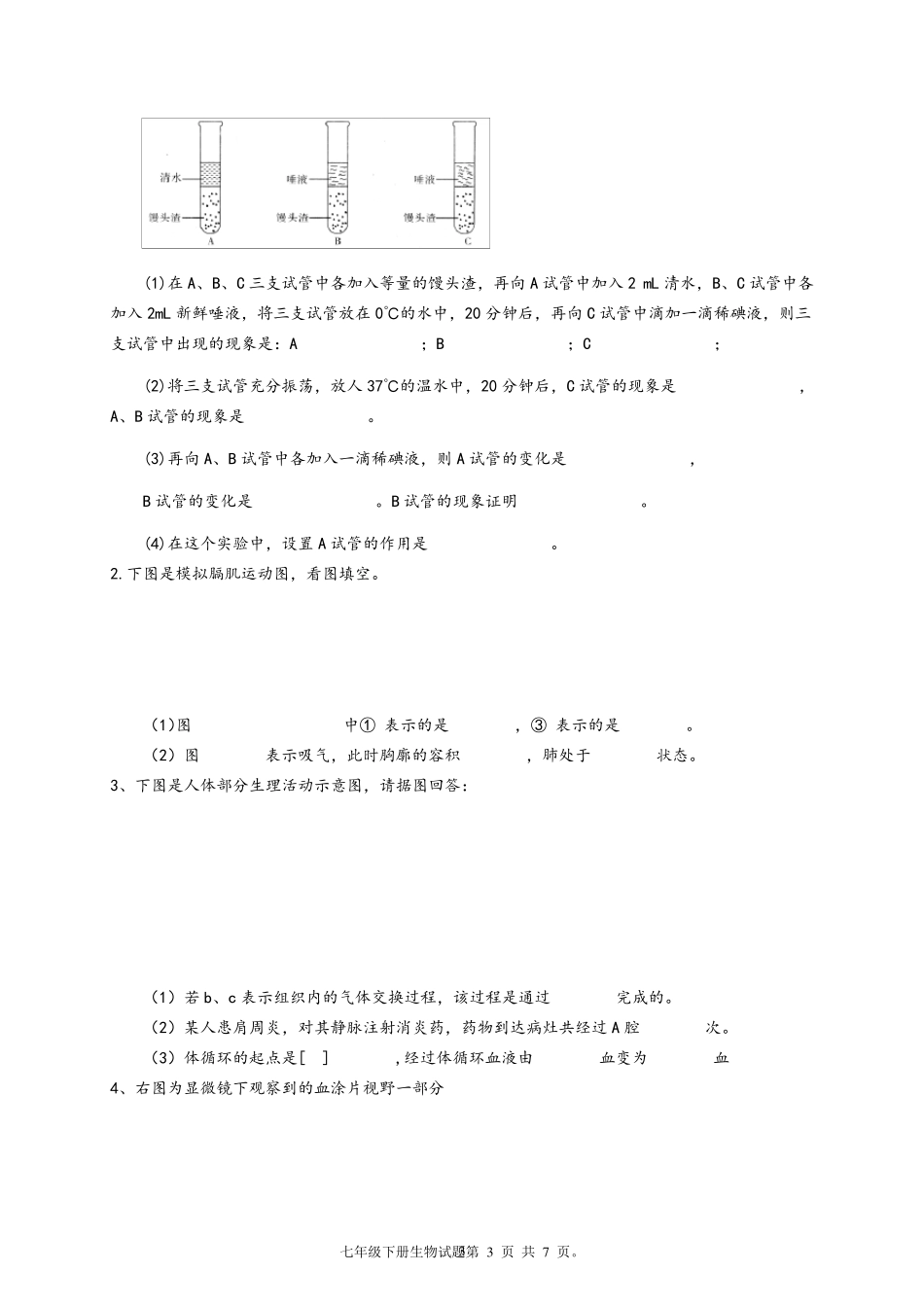 人教版七年级下册生物期末测试题附答案_第3页