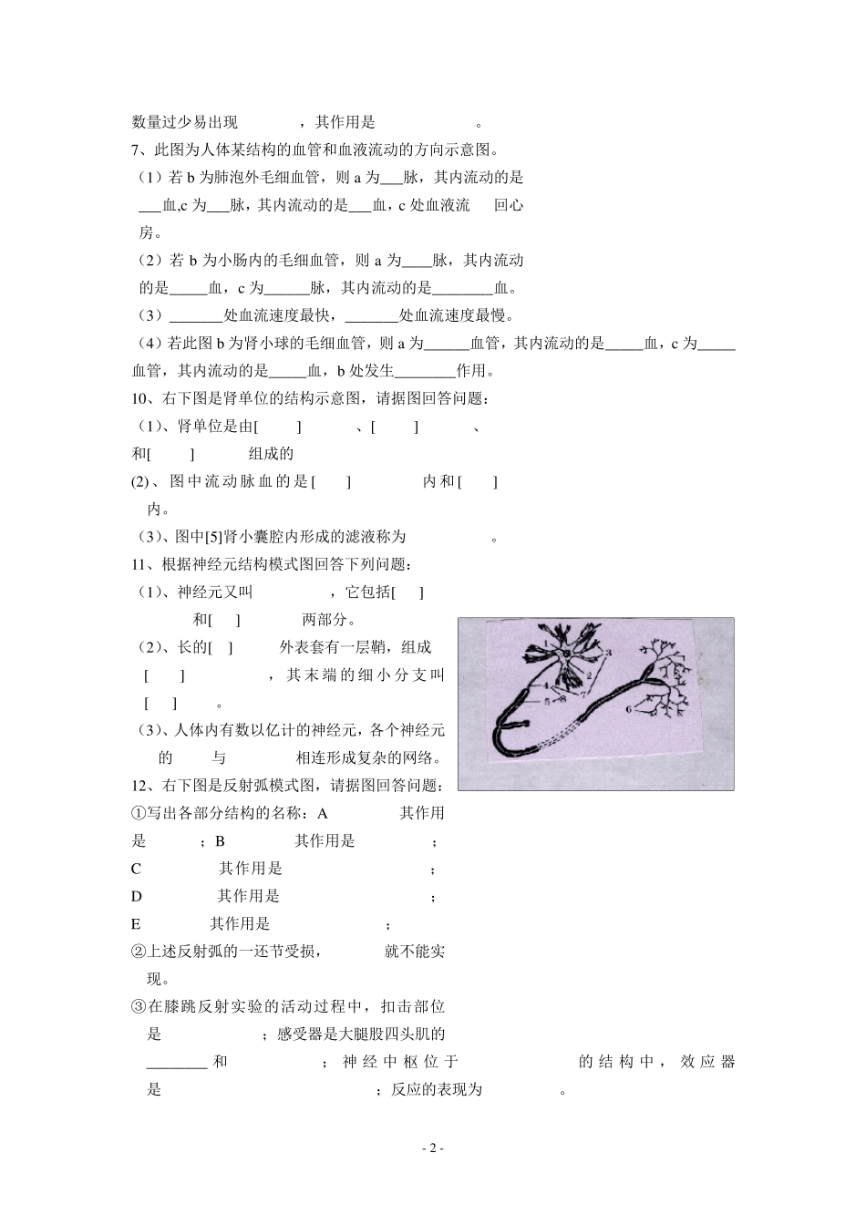 人教版七年级下册生物识图专题复习_第2页