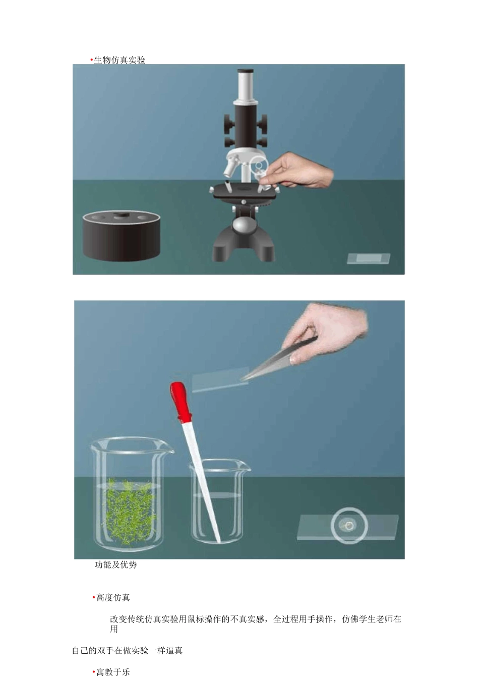 同步虚拟仿真实验室简介_第3页
