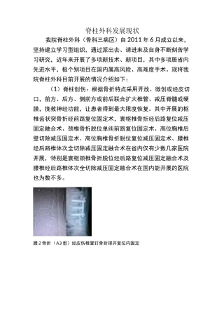 脊柱外科发展现状