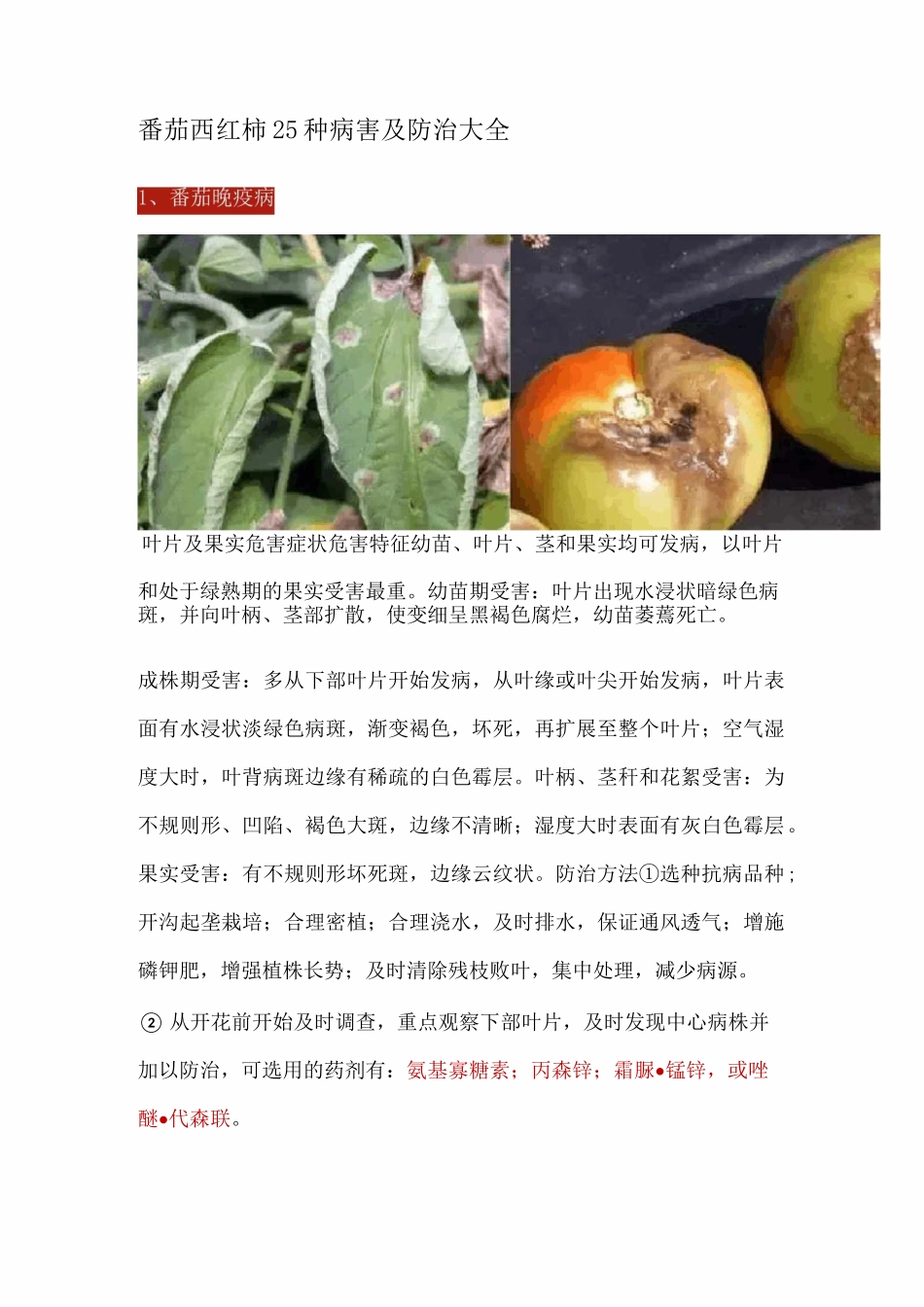 番茄西红柿25种病害及防治大全_第1页