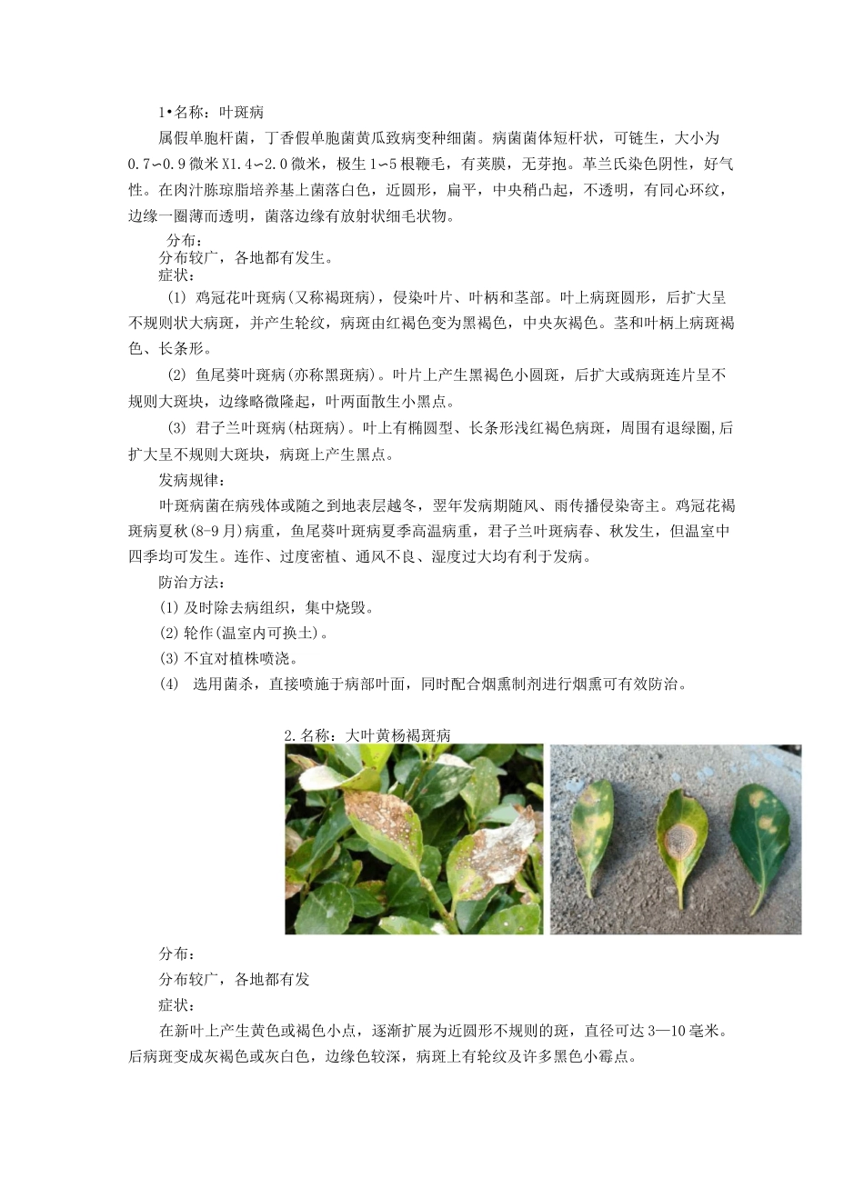 叶斑病16种_第1页