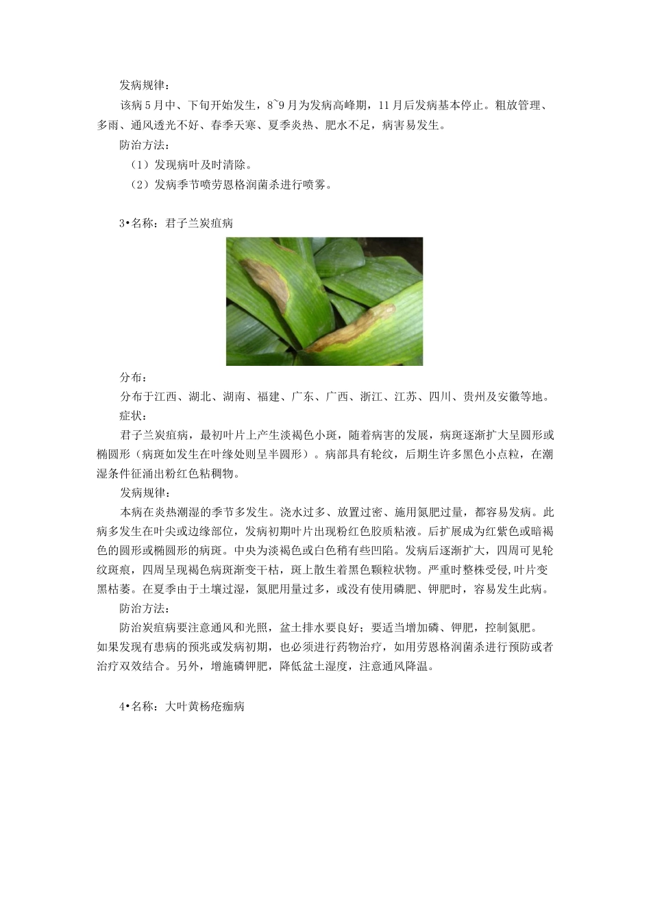 叶斑病16种_第2页