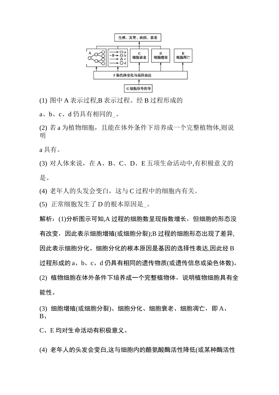 细胞的衰老和凋亡 细胞的癌变习题_第3页