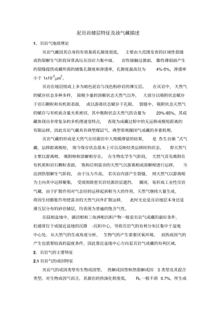 泥岩储层特征及油气藏描述讲解