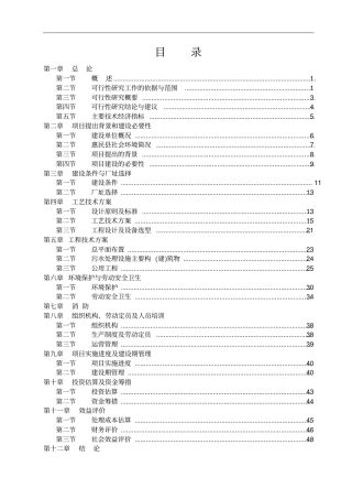洁净型煤投资可行性研究报告