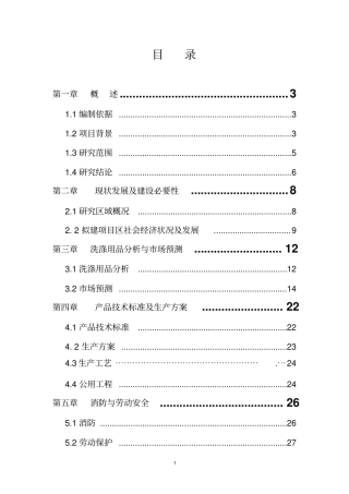 洗涤用品项目可行性研究报告
