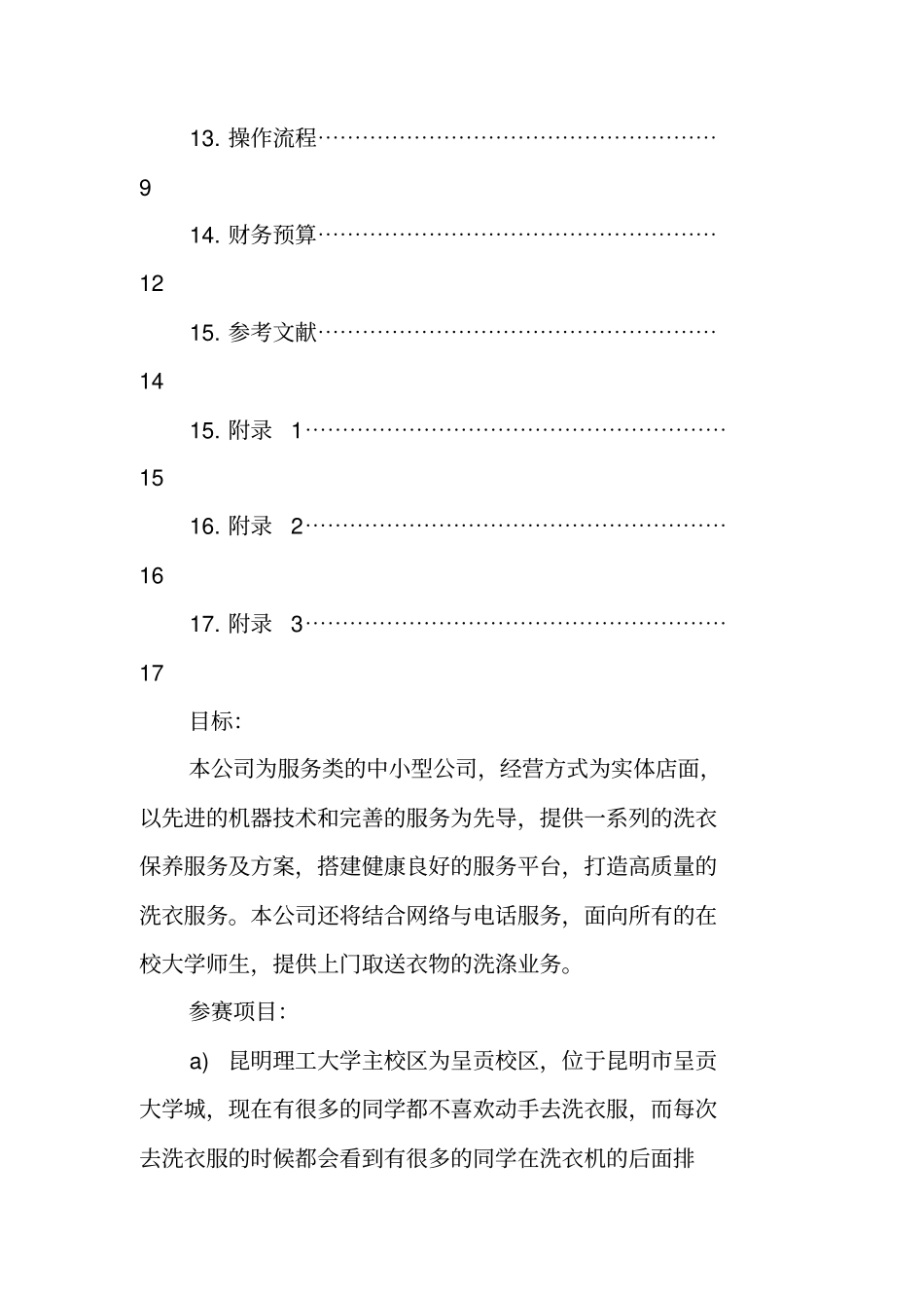 洗衣店的商业计划书_第2页