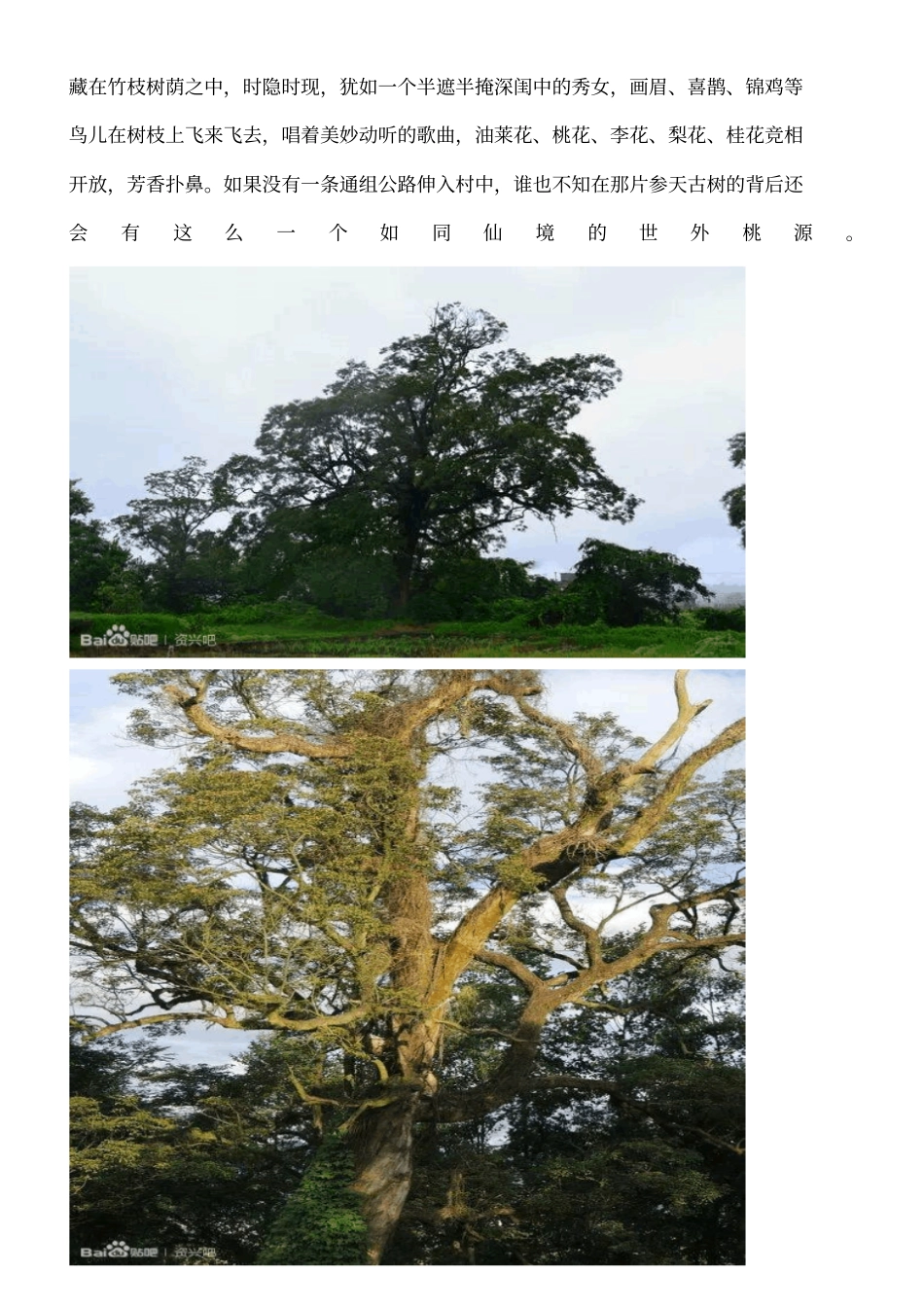 流华湾寻根汇总_第3页