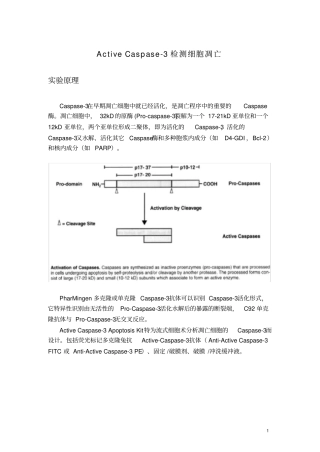 流式细胞仪检测细胞凋亡操作流程-ActiveCaspase-3检测细胞凋亡