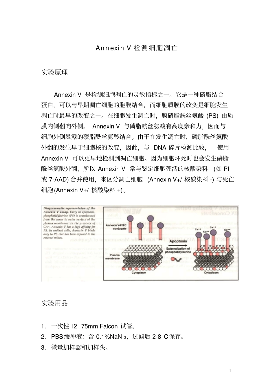 流式细胞仪检测细胞凋亡操作流程AnnexinV检测细胞凋亡_第1页