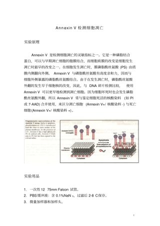 流式细胞仪检测细胞凋亡操作流程AnnexinV检测细胞凋亡