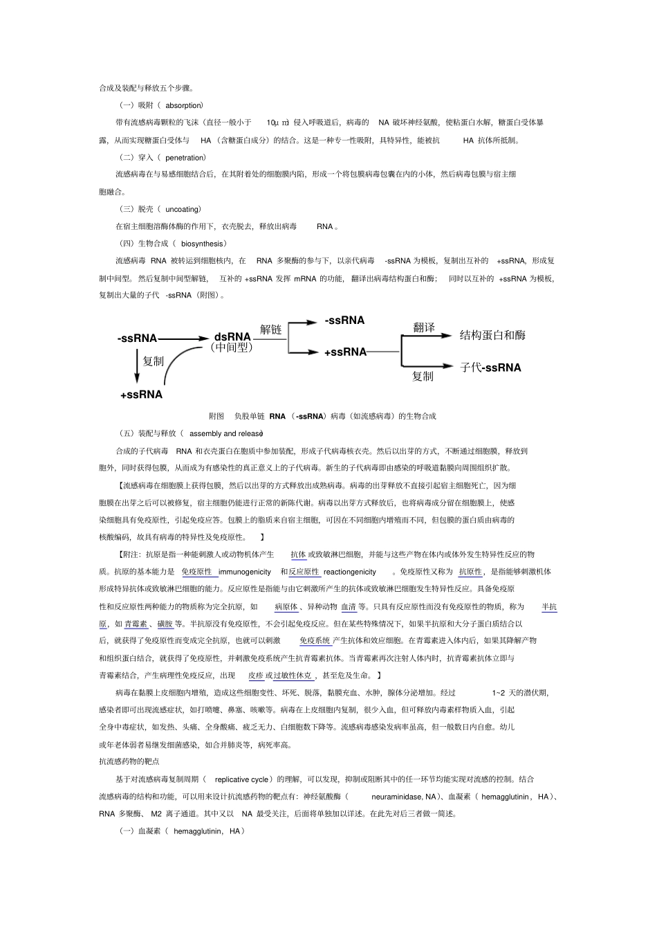 流感病毒基础的知识_第3页
