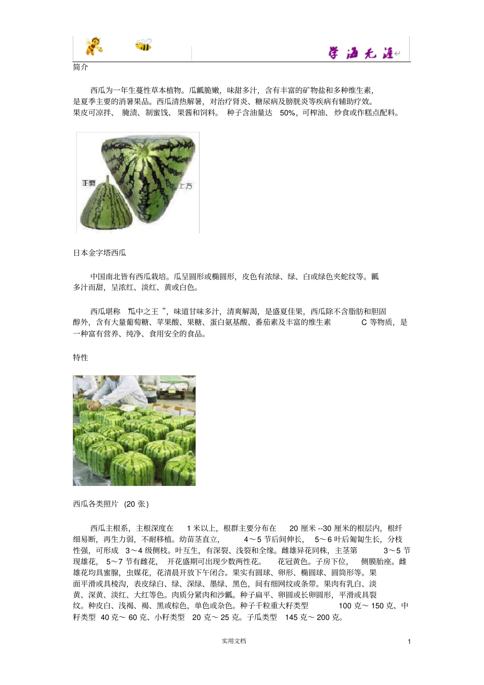 流水西瓜种植与销售_第1页