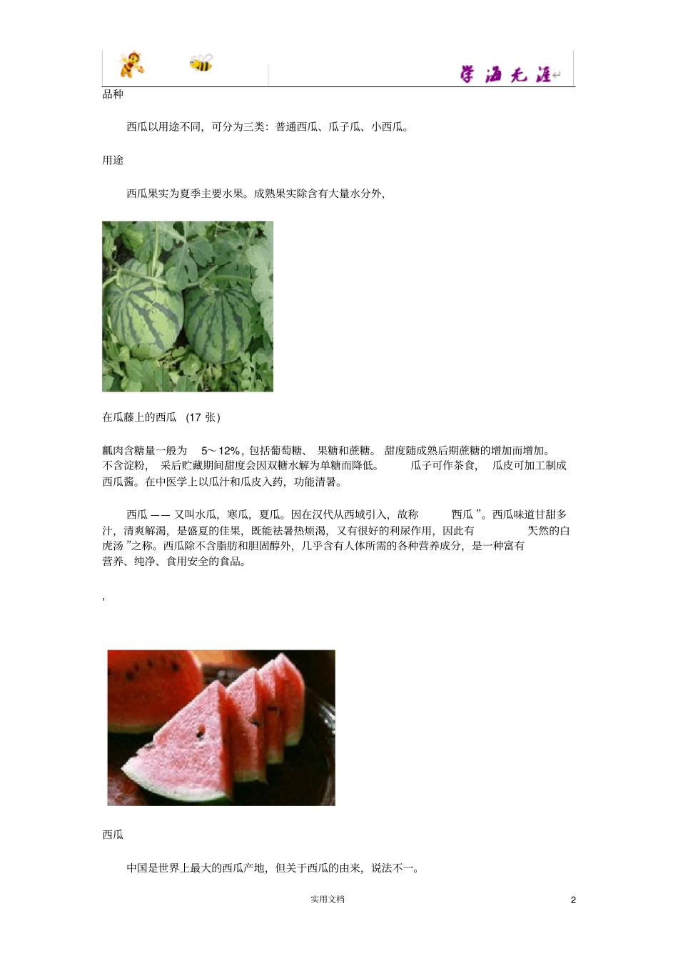 流水西瓜种植与销售_第2页