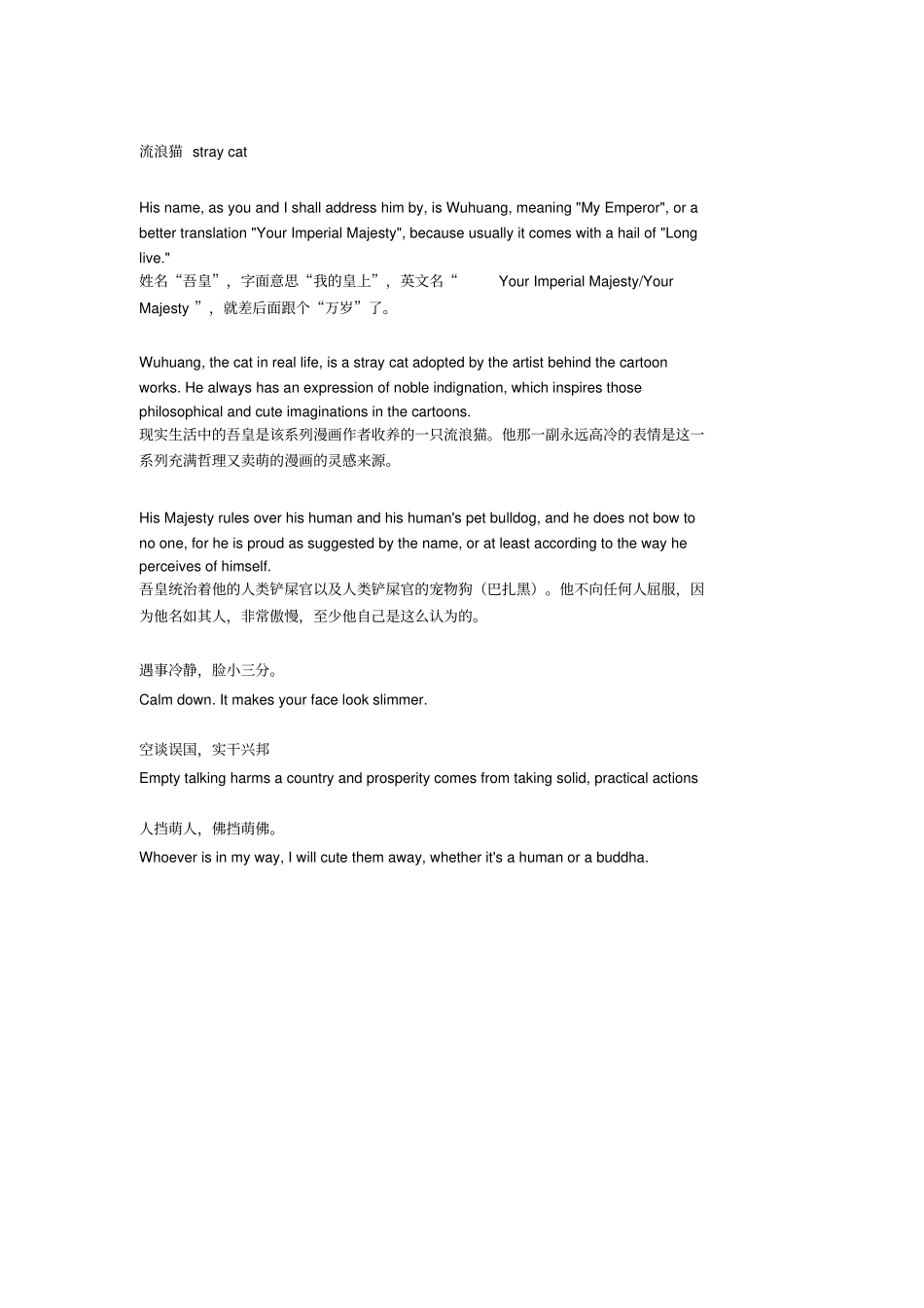 流浪猫straycat_第1页