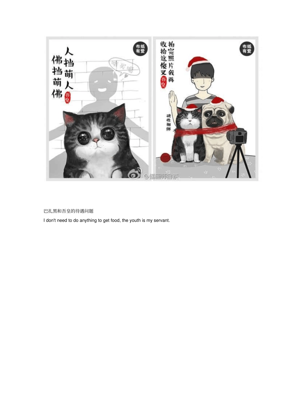 流浪猫straycat_第2页