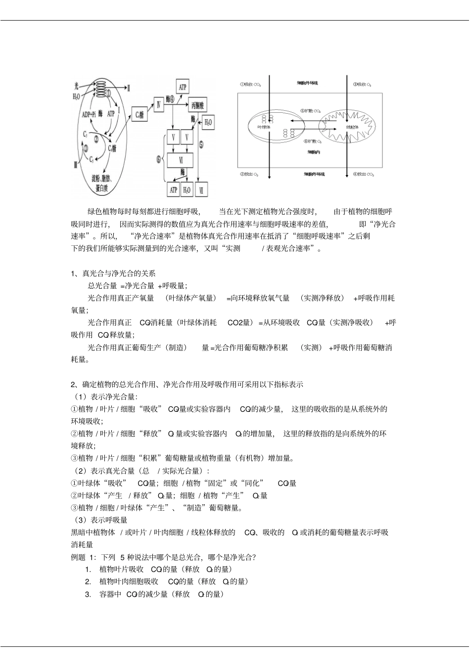 浅议光合作用和细胞呼吸计算问题教学_第2页