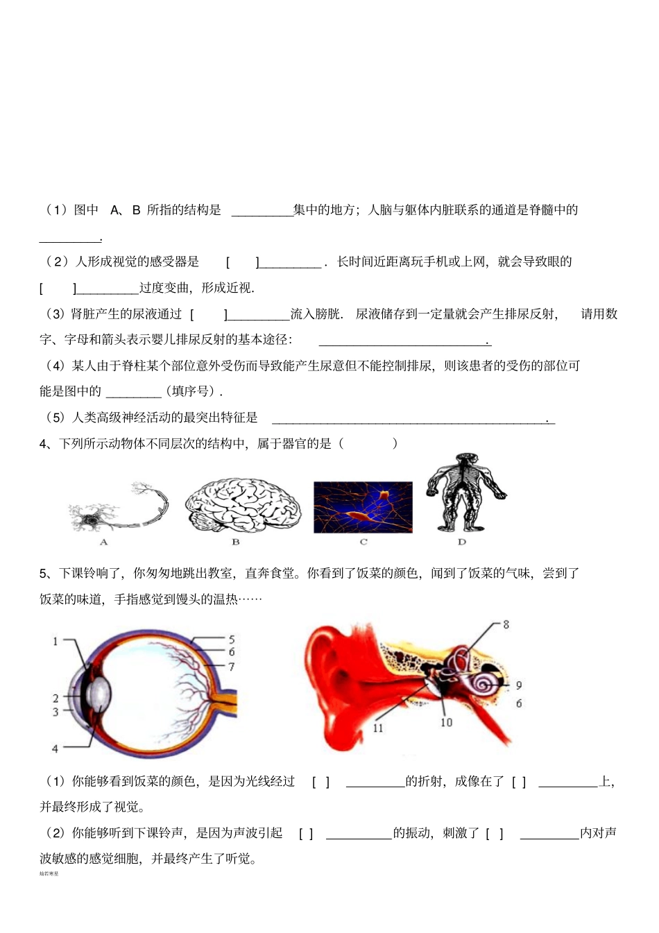 济南版生物七下神经系统复习检测题_第2页