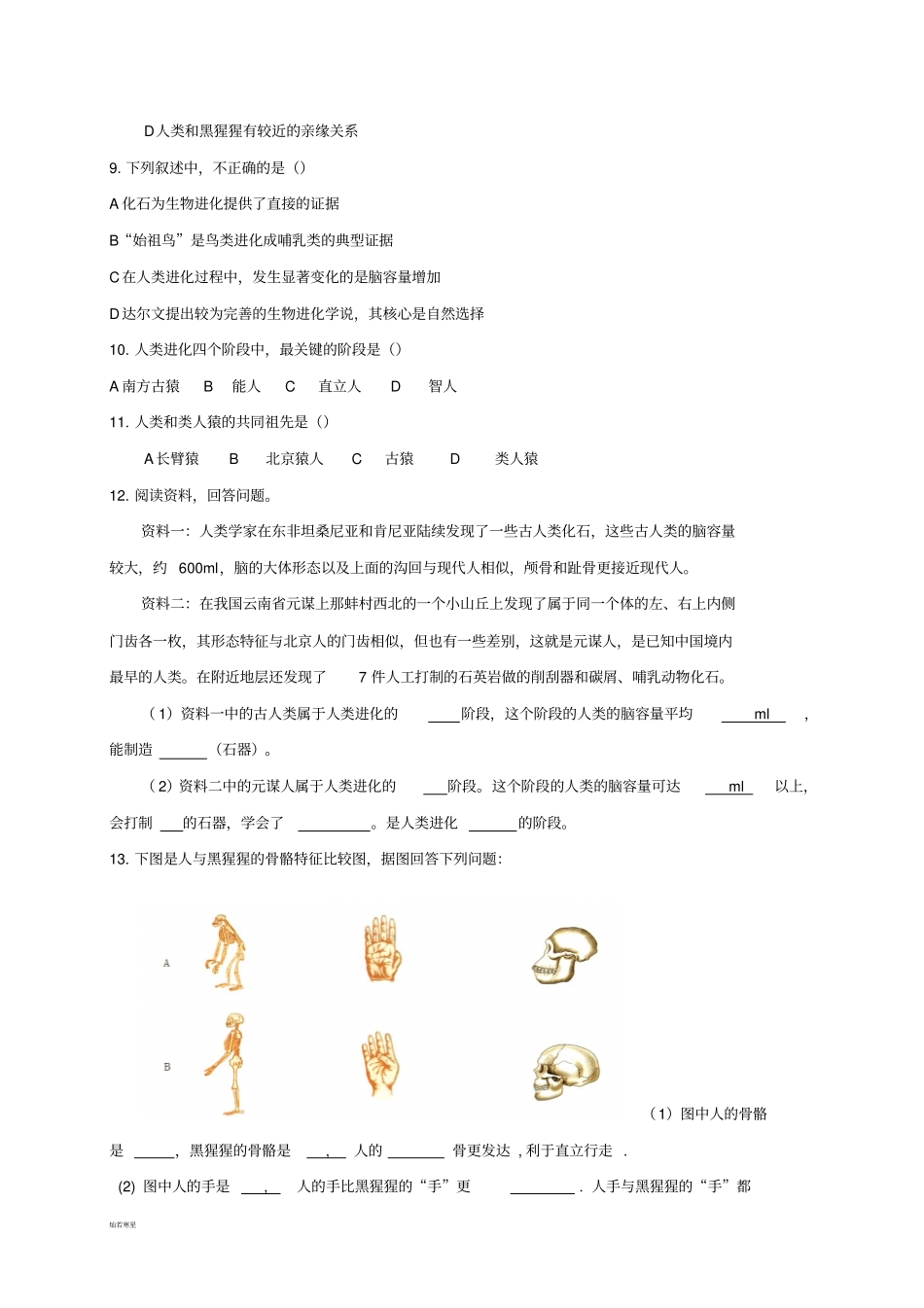 济南版生物八下人类的起源和进化_第3页