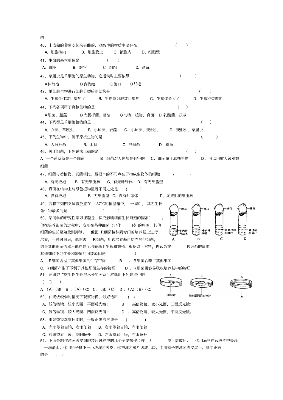 浙教版科学七年级上册观察生物复习练习题库附参考答案_第3页