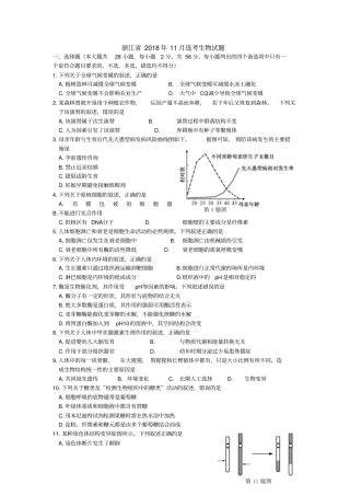 浙江2018年11月选考生物试题及答案