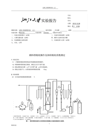 浙江大学化工原理试验---填料塔吸收试验报告资料