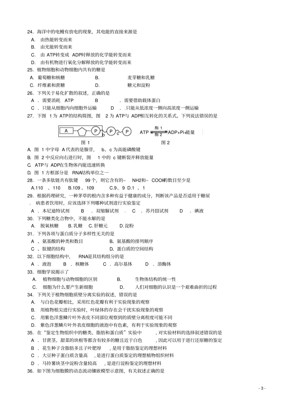 浙江杭州第二中学2012016学年高一生物上学期期末考试试题_第3页